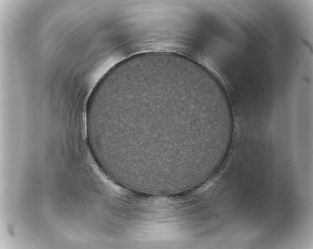 X0000102301079200808152012