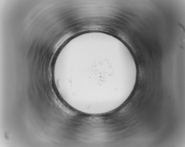 X0000102301082200808152012