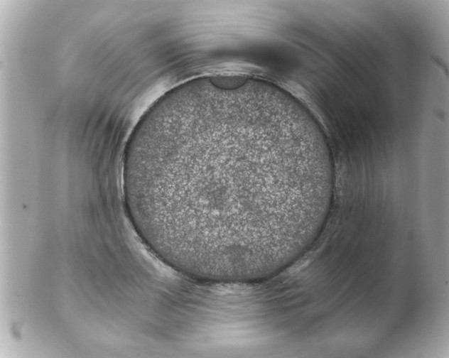 X0000102301083200808152012
