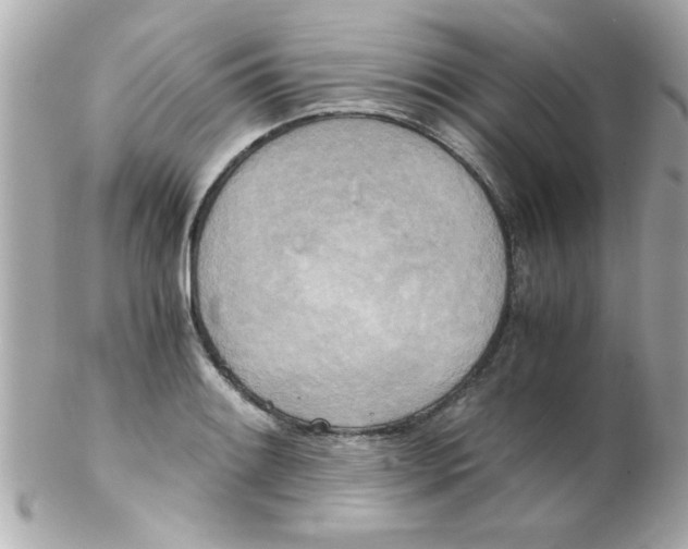 X0000102301084200808152012