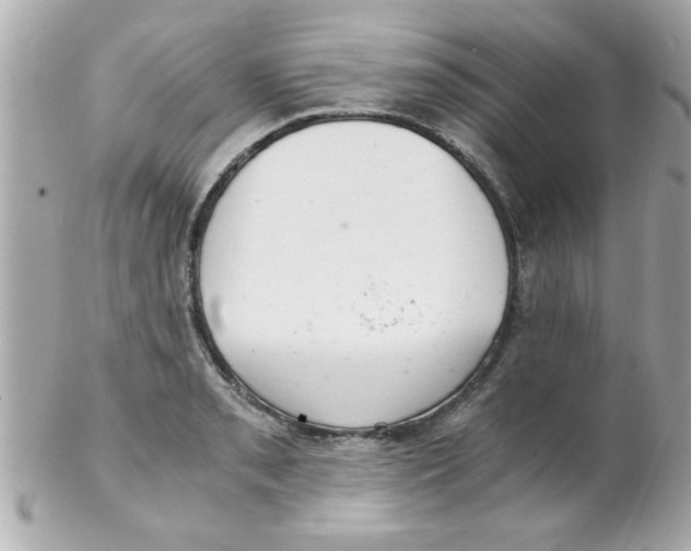 X0000102301085200808152012