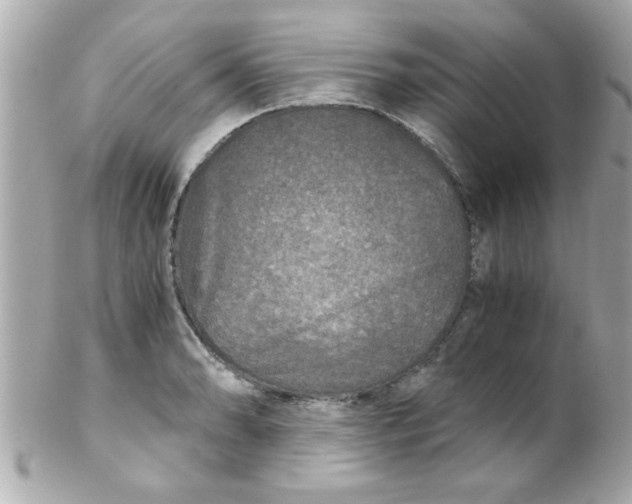 X0000102301086200808152012