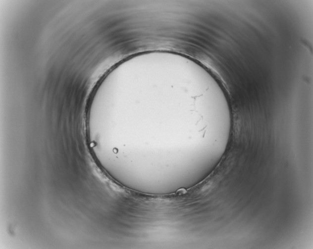 X0000102301088200808152012