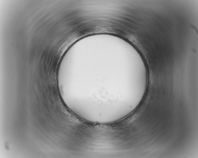 X0000102301089200808152012