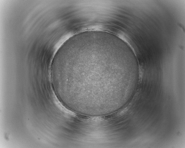 X0000102301090200808152012