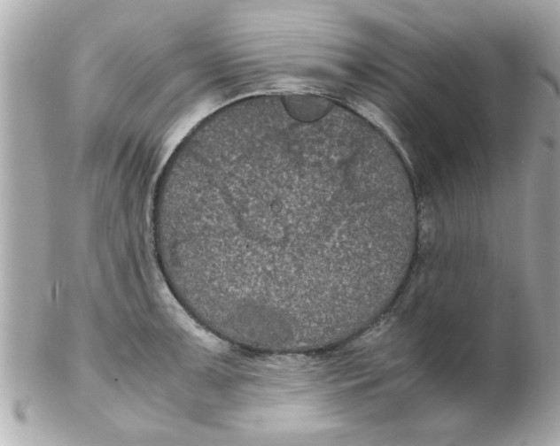 X0000102301091200808152012