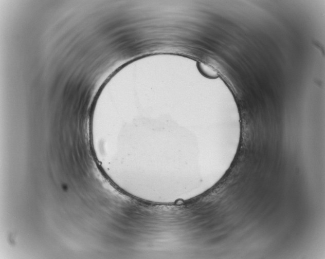X0000102301092200808152012