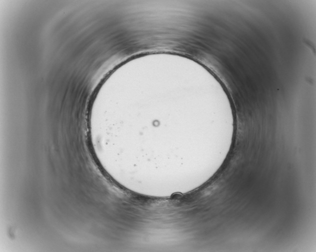 X0000102301093200808152012