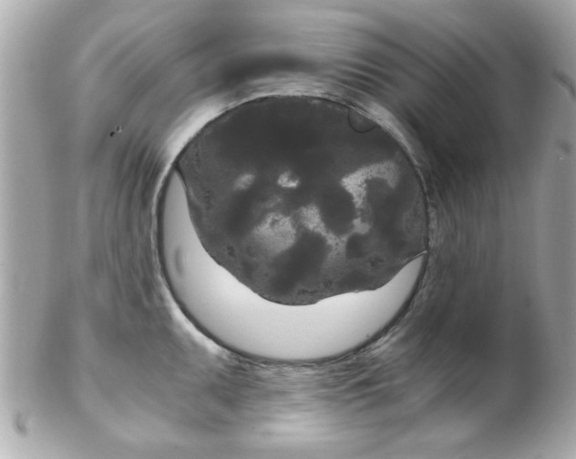 X0000102301095200808152012