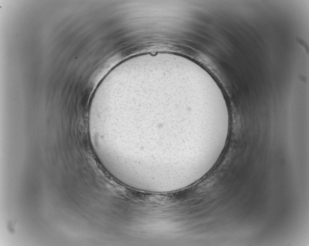 X0000102301097200808152012