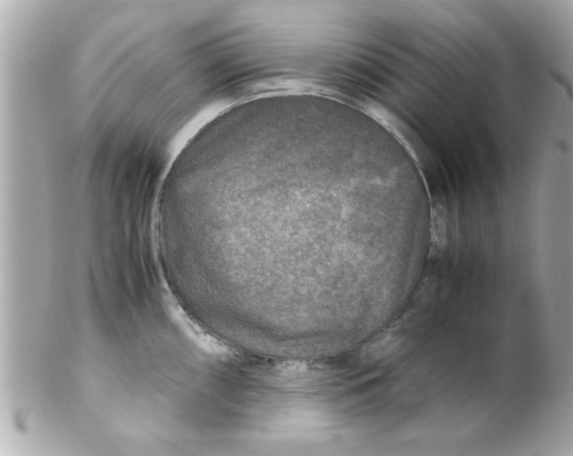 X0000102301098200808152012