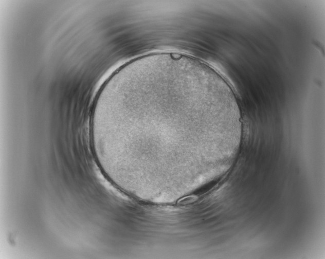 X0000102301100200808152012