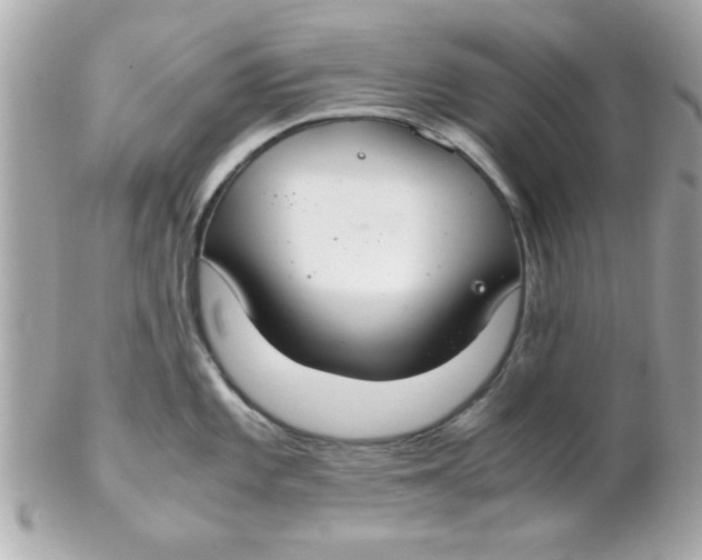 X0000102301101200808152012
