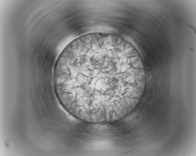 X0000102301103200808152012