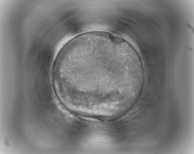 X0000102301104200808152012