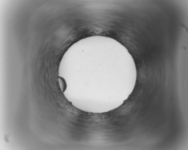 X0000102301105200808152011