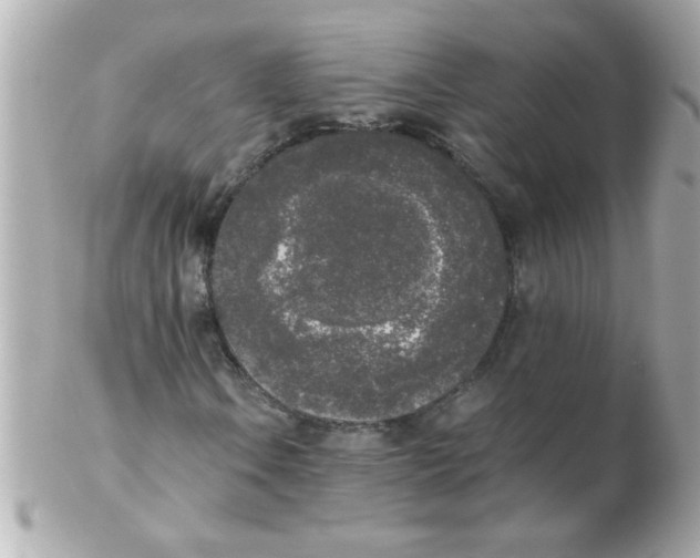 X0000102301106200808152011