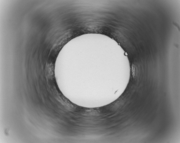 X0000102301107200808152011