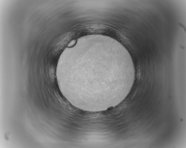 X0000102301108200808152011