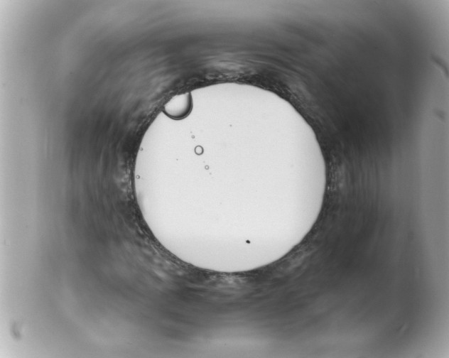 X0000102301109200808152011