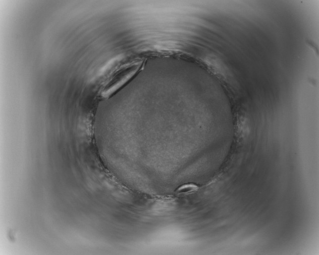 X0000102301110200808152011