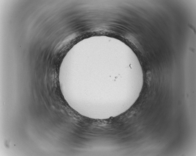 X0000102301111200808152011