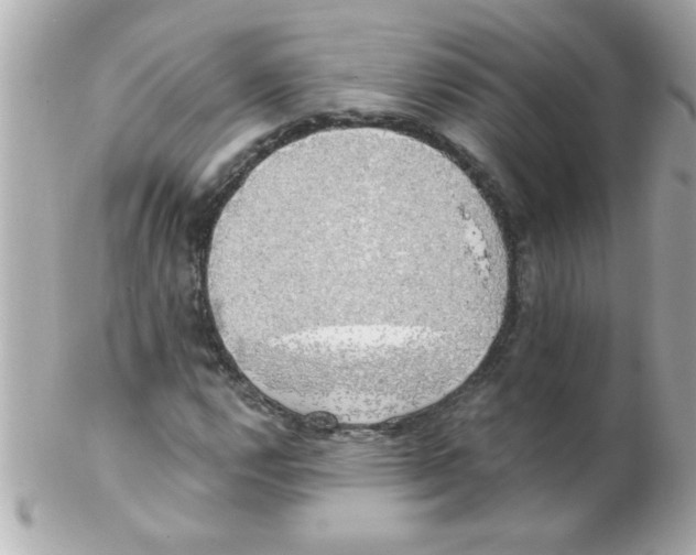 X0000102301112200808152011