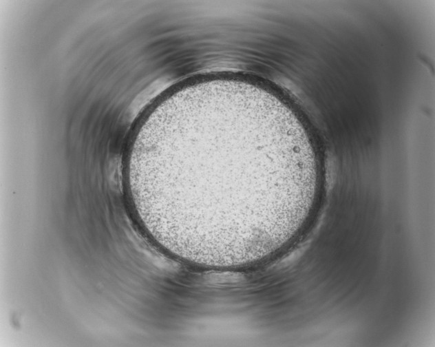X0000102301113200808152011