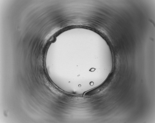 X0000102301114200808152011