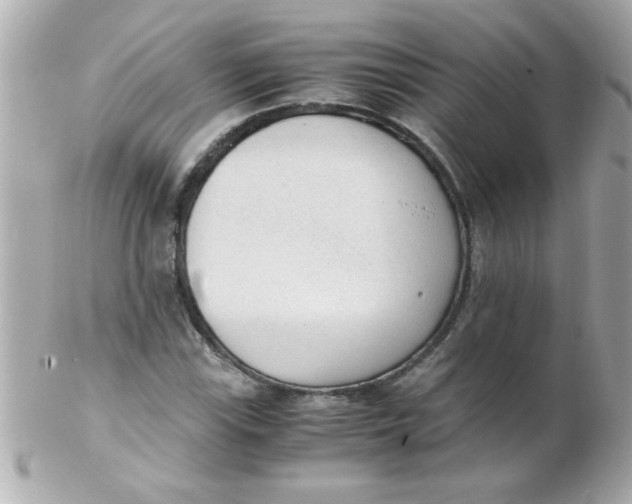 X0000102301115200808152011
