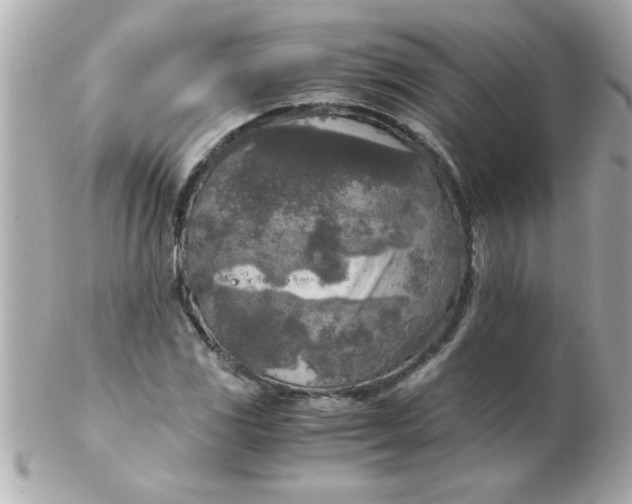 X0000102301117200808152011