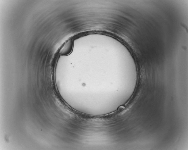 X0000102301118200808152011