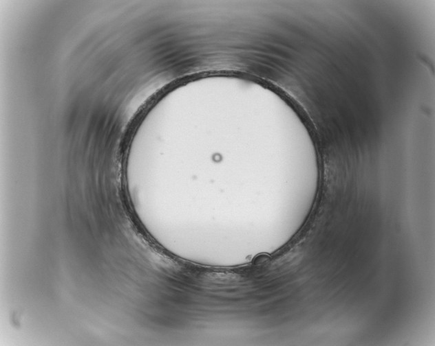 X0000102301119200808152011