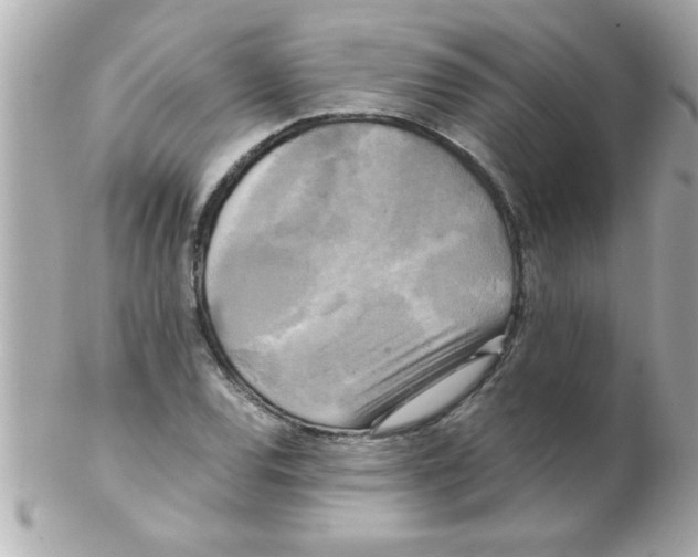 X0000102301120200808152011