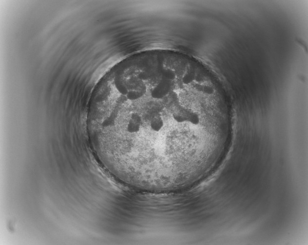 X0000102301121200808152011