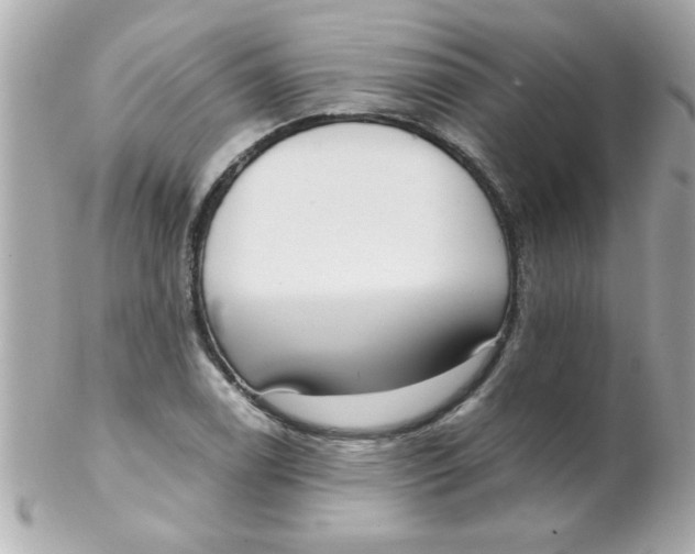 X0000102301122200808152011