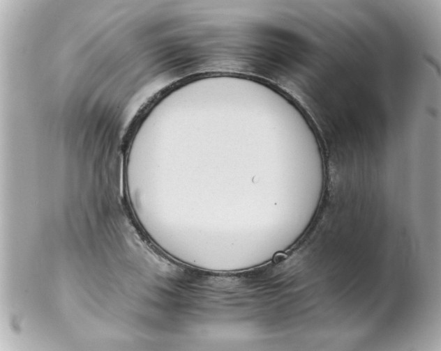 X0000102301123200808152011
