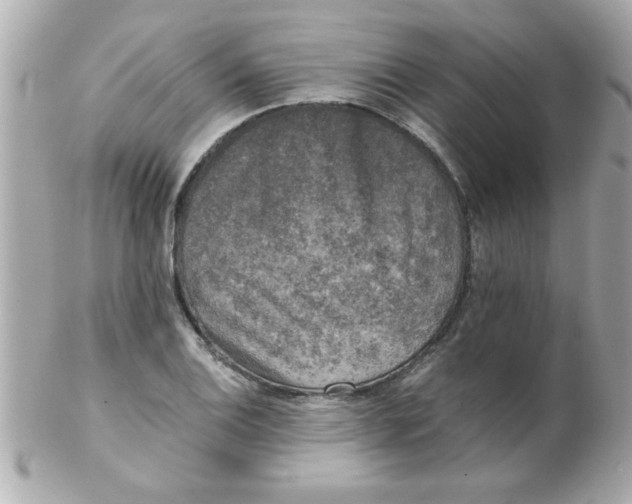 X0000102301124200808152011