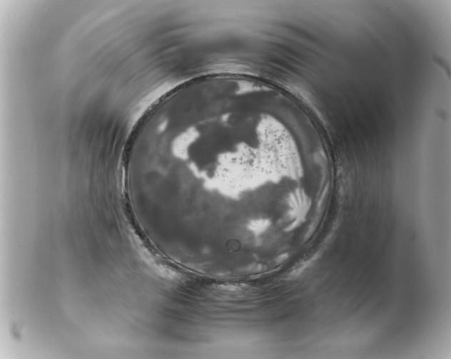 X0000102301125200808152011