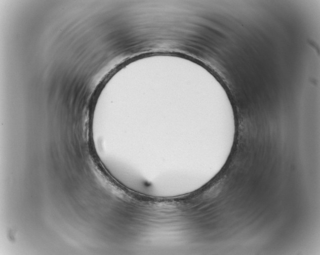 X0000102301126200808152011