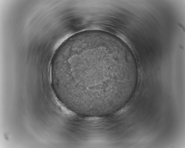 X0000102301127200808152011