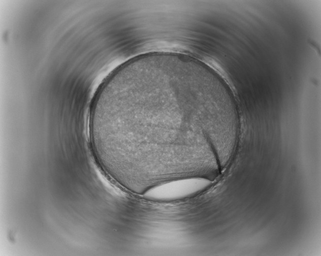 X0000102301128200808152011
