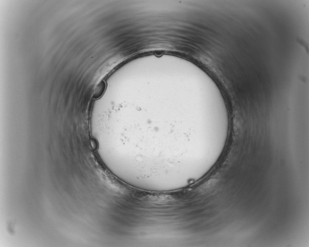 X0000102301129200808152011