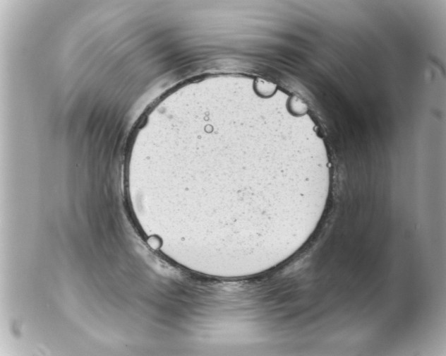X0000102301130200808152011