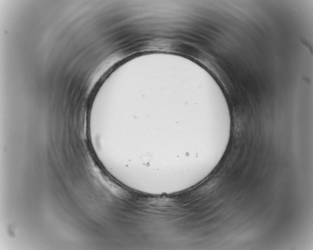 X0000102301131200808152011