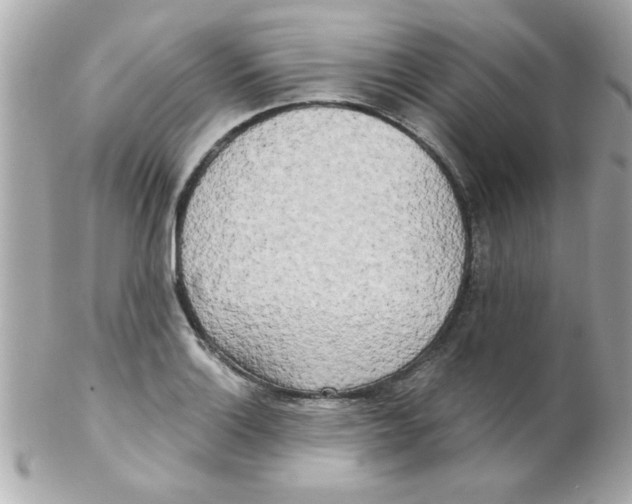 X0000102301132200808152011