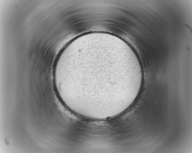 X0000102301133200808152011
