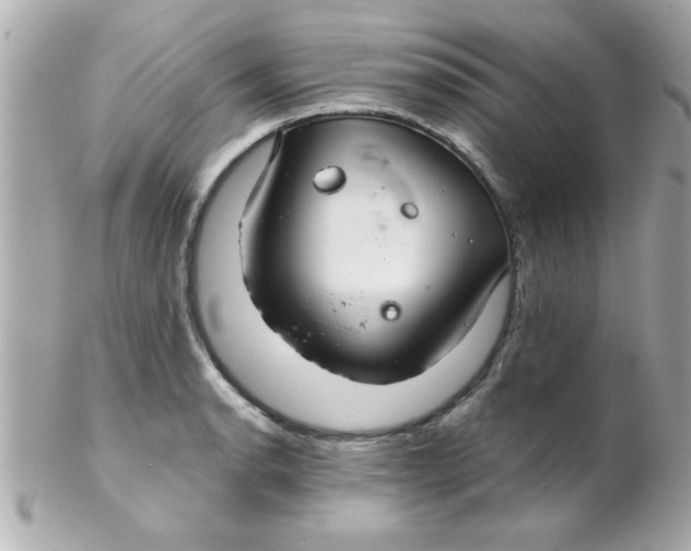 X0000102301134200808152011