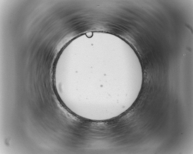 X0000102301135200808152011