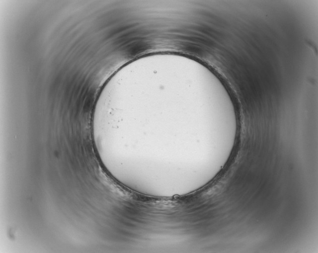 X0000102301137200808152011